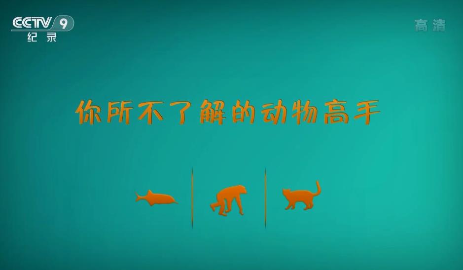 ˽Ķ (2016)