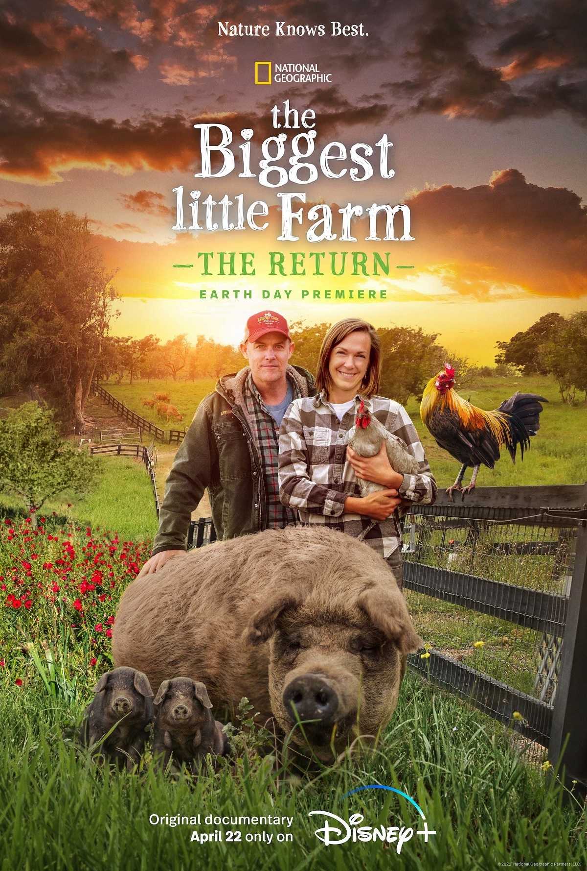 ССũع The Biggest Little Farm: The Return (2022)