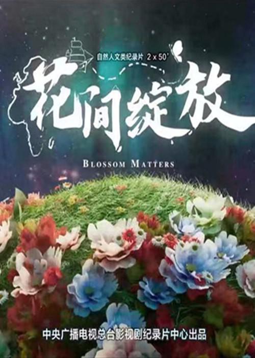 .ȫ2.CCTV9-.1080P (2022)