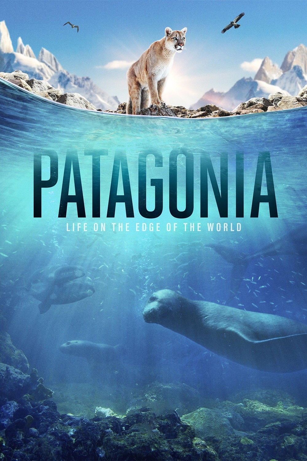 Patagonia: Life on the Edge of the World (2022)