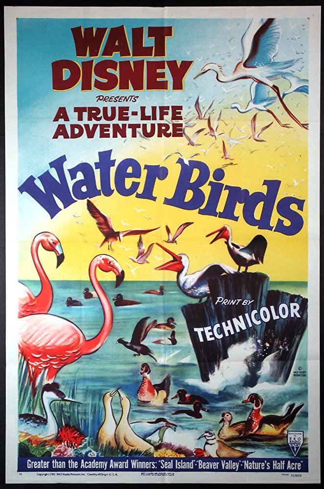 ˮ Water Birds (1952)