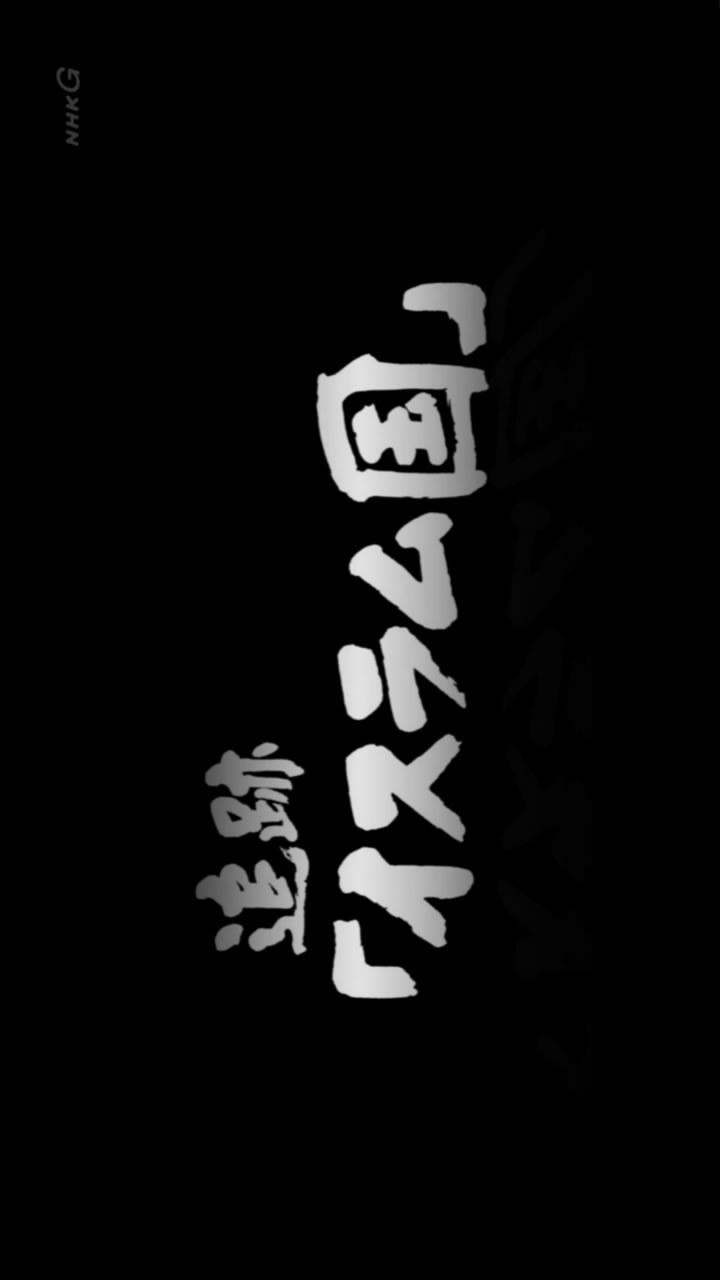 NHK׷"ISIS" (2015)