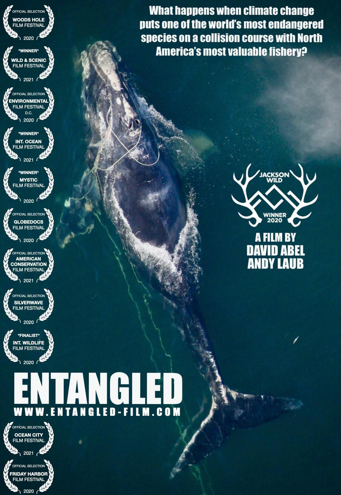 ¶ Entangled: The Race to Save Right Whales from Extinction (2020)