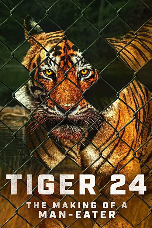 ϻ.Tiger 24 (2022)