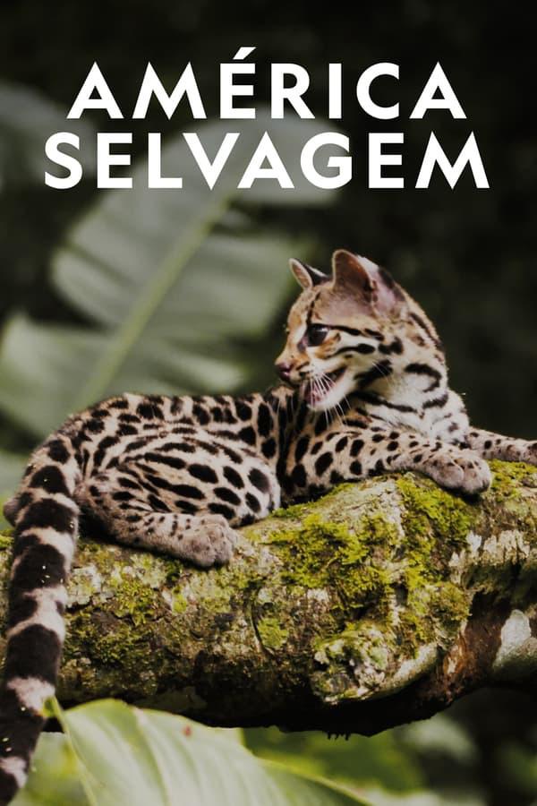 Ұ Wild Latam (2020)