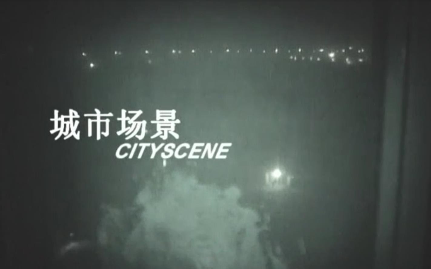 г (2004)
