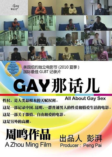 GAYǻ (2010)