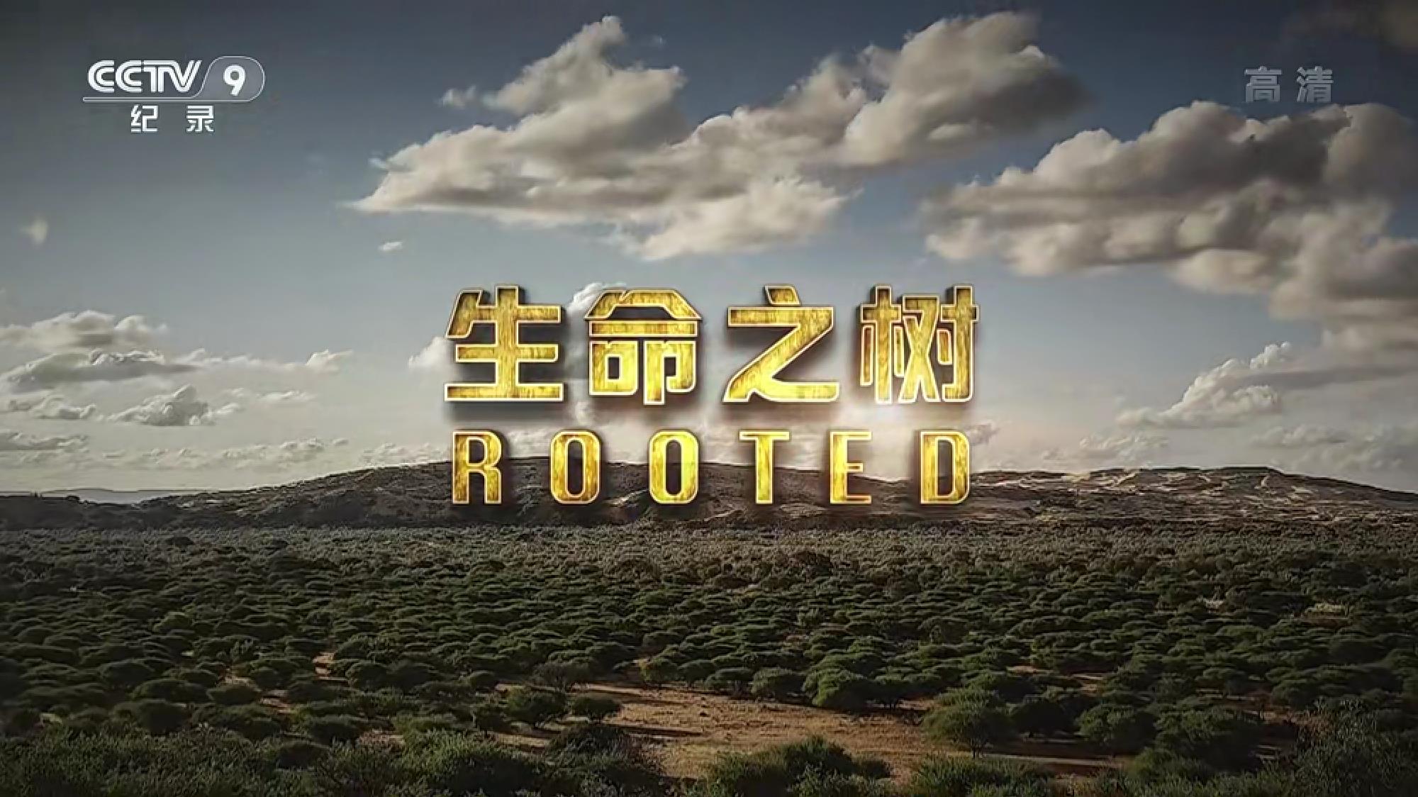 ֮.Rooted.ȫ5.CCTV9.ӹ.1080P (2018)
