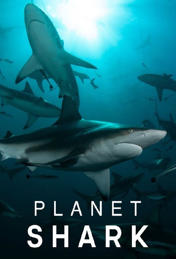  Planet Shark2022