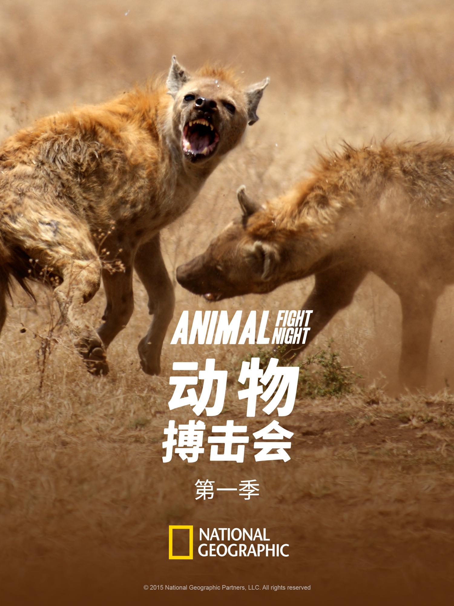 ﲫ.1-6.ӢĻ.1080P.Animal Fight Night Season (2013-2018)