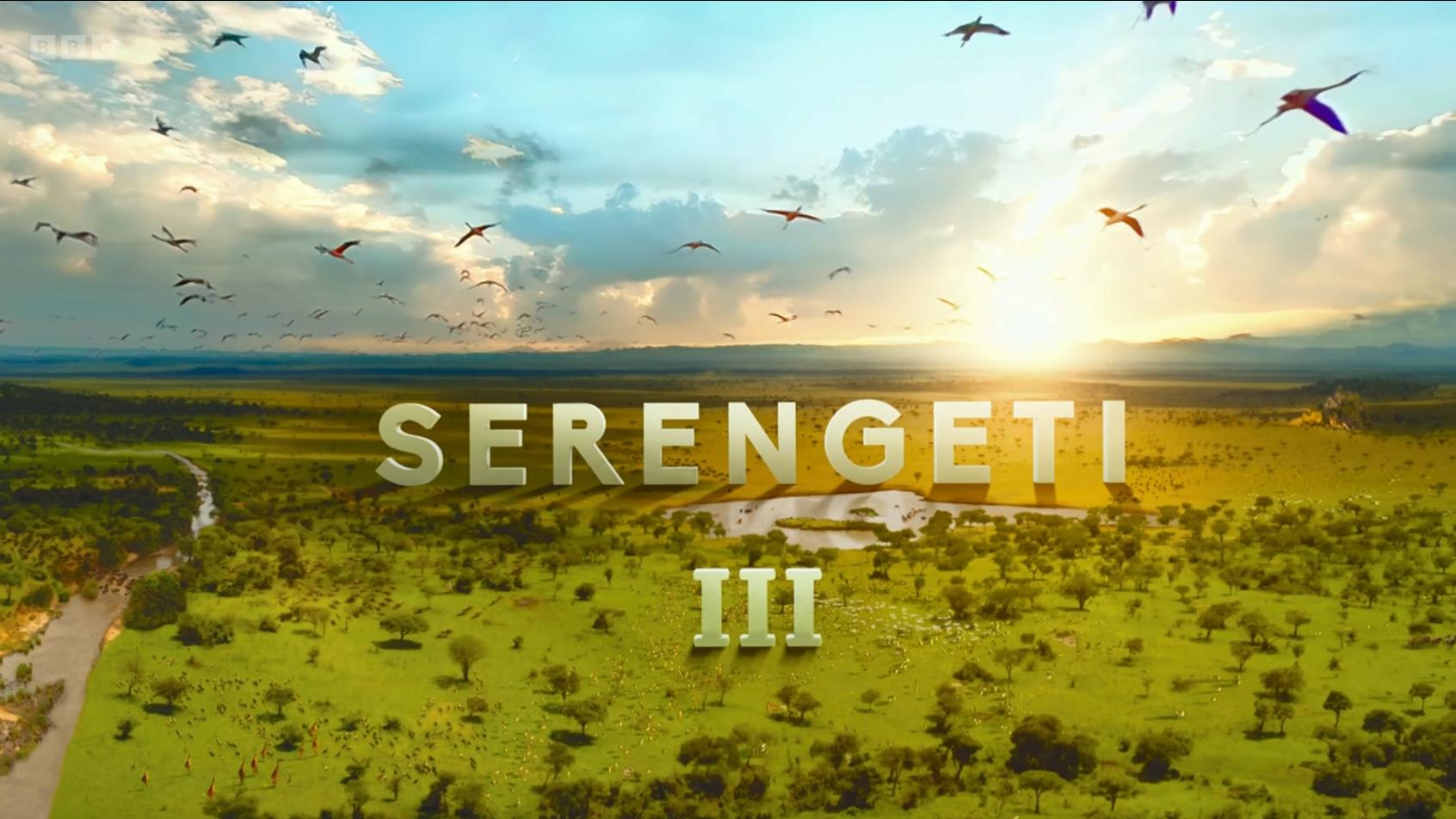 ׸ǵ..Serengeti.4K.ӢĻ (2022)