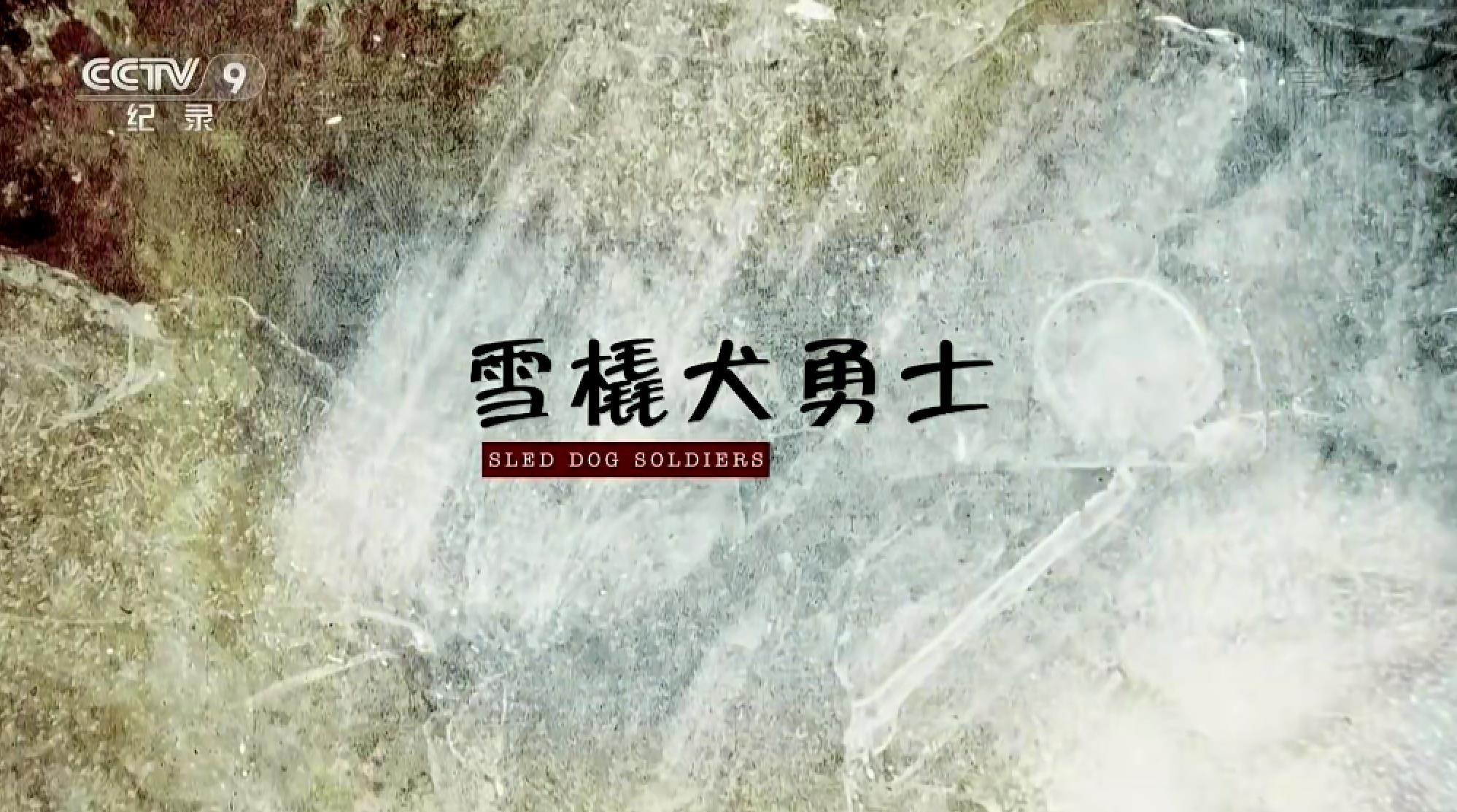 ѩȮʿ.Sled.Dog.Soldiers.1080P.ӹ䣨2012
