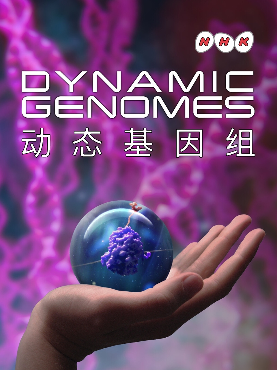 ̬.Dynamic.Genomes.ȫ2.1080P.ӢĻ(2019)