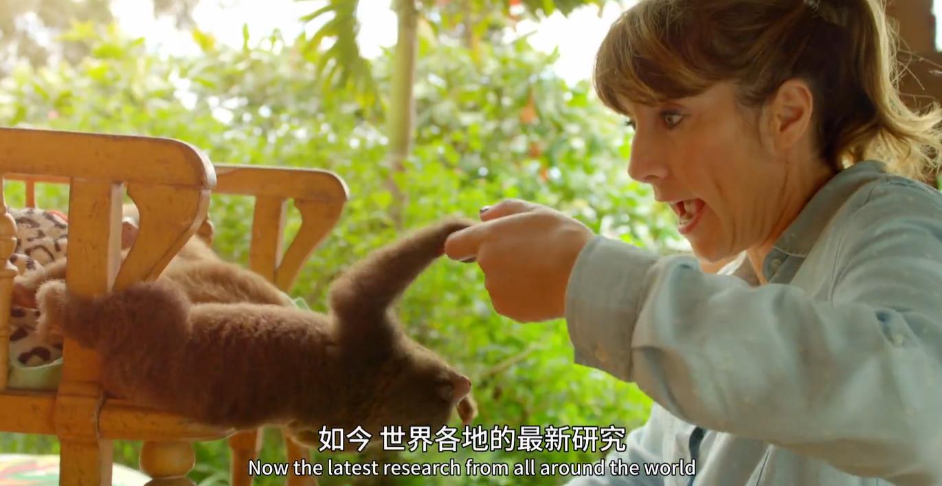 Ƿ.extraordinary.animals.ȫ4.1080P.ӢĻ