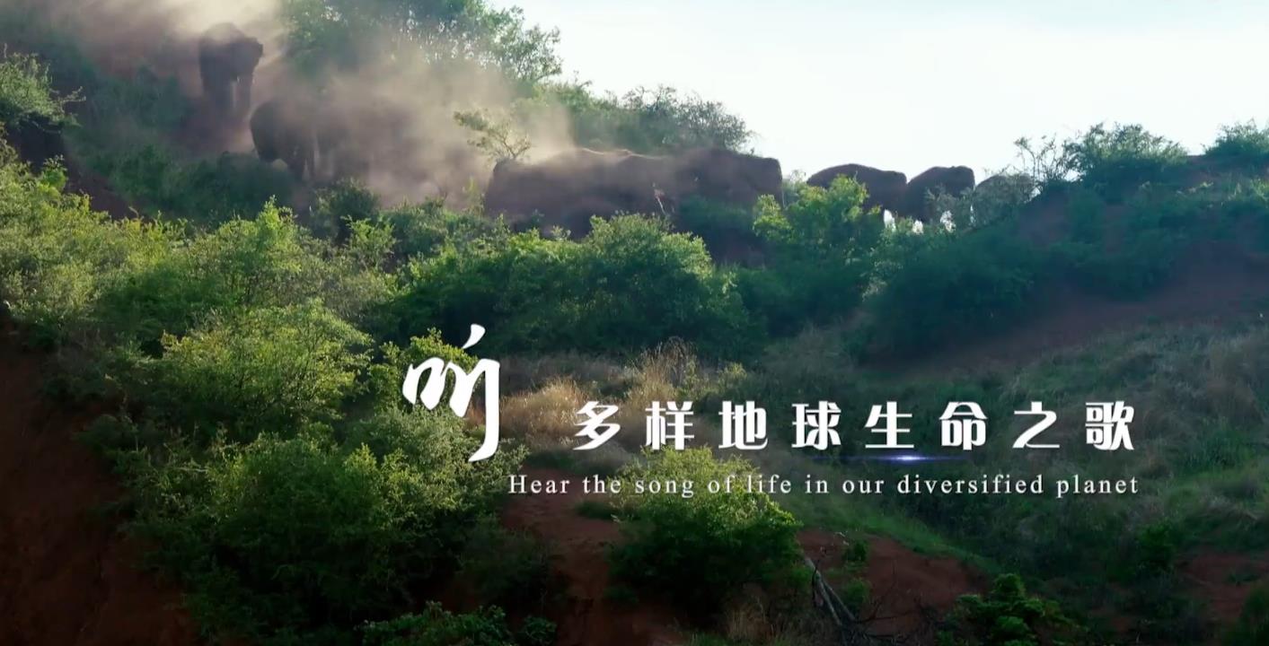 ֮.ȫ7.1080P. (2021)
