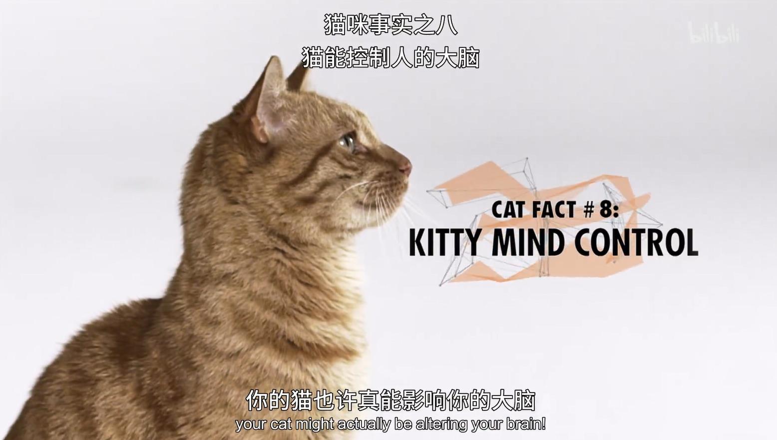 ռ.һ.Ultimate.Animals Season.ȫ6.1080P.ӢĻ (2015)