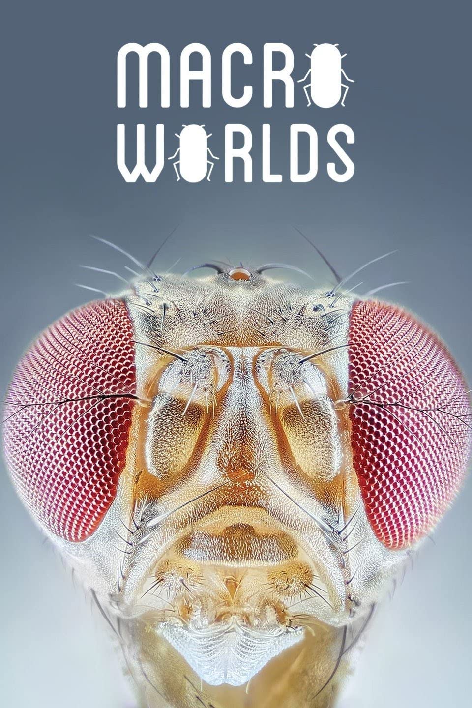 .Macro.Worlds.ȫ3.1080P.ӢĻ (2017)