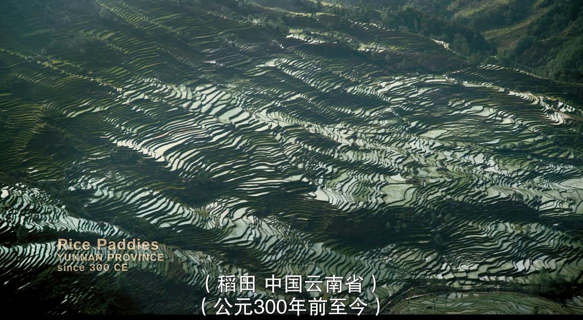 ˮ羰.Watermark.1080P. (2013)