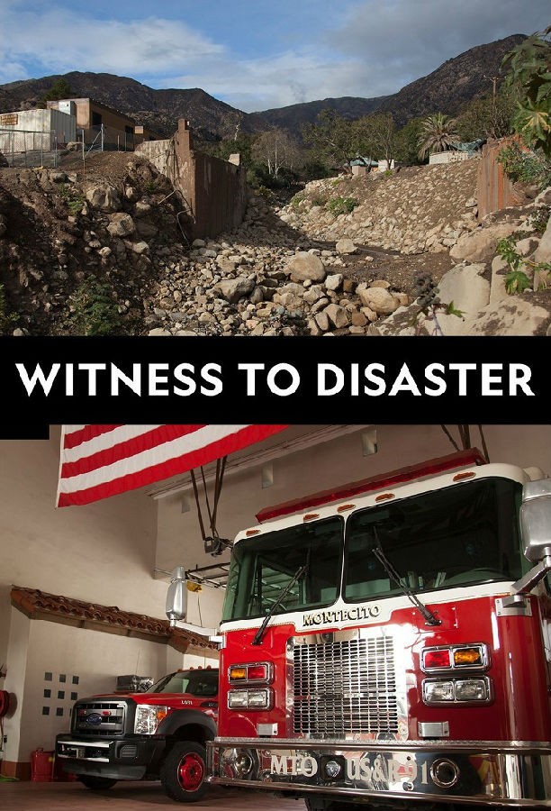 ѵļ֤.Witness.to.Disaster.ȫ6.1080P.ٷ֣2019