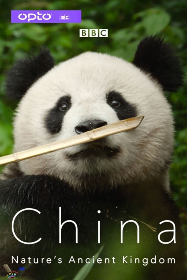 BBCйȻĹ ChinaNature's Ancient Kingdom (2021)