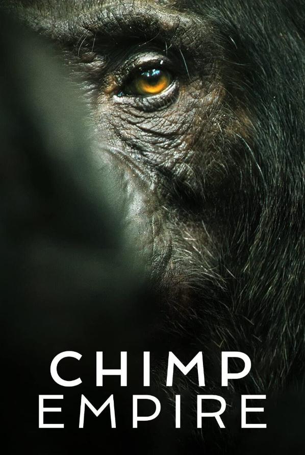 ɵ۹.Chimp.Empire.ȫ4.1080P.ٷ(2023)