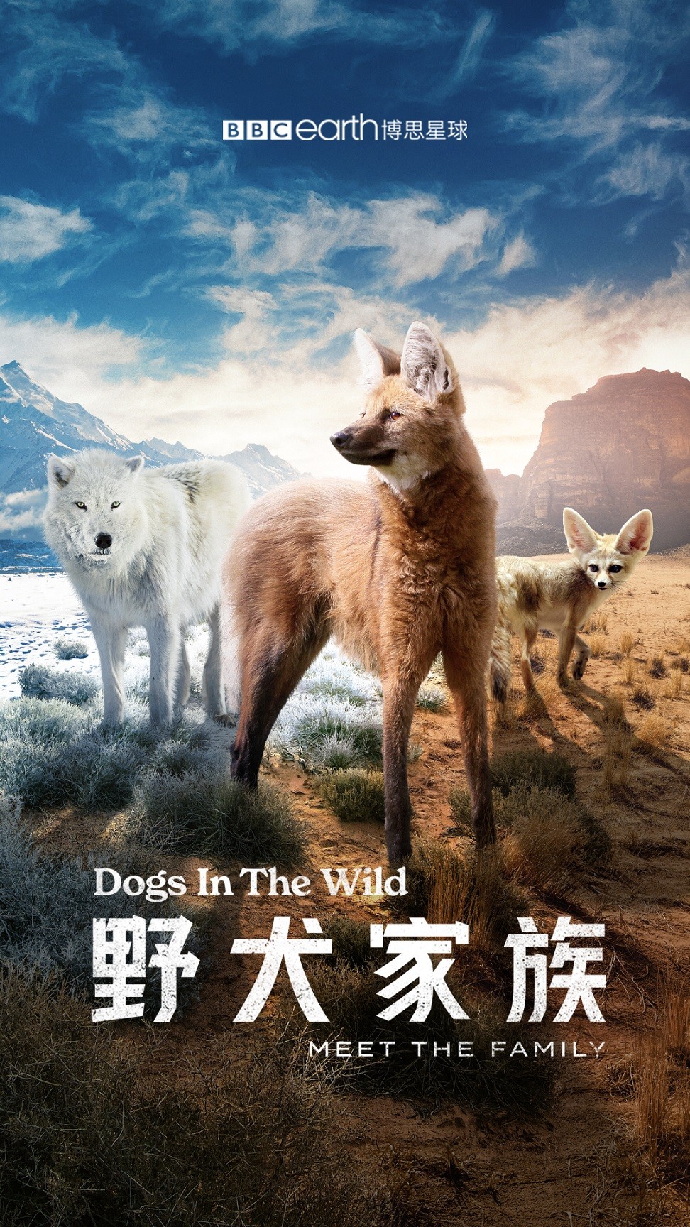 ҰȮ.Dogs.in.the.Wild:Meet.the.Family.ȫ3.4K. ӢĻ (2022)