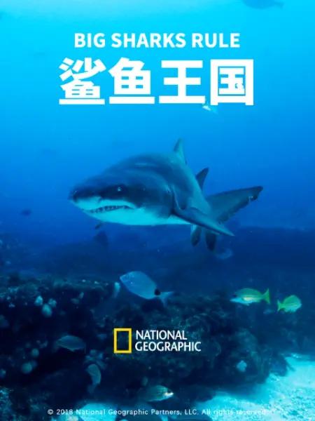 .Big.Sharks.Rule.1080P.Ӣ (2018)