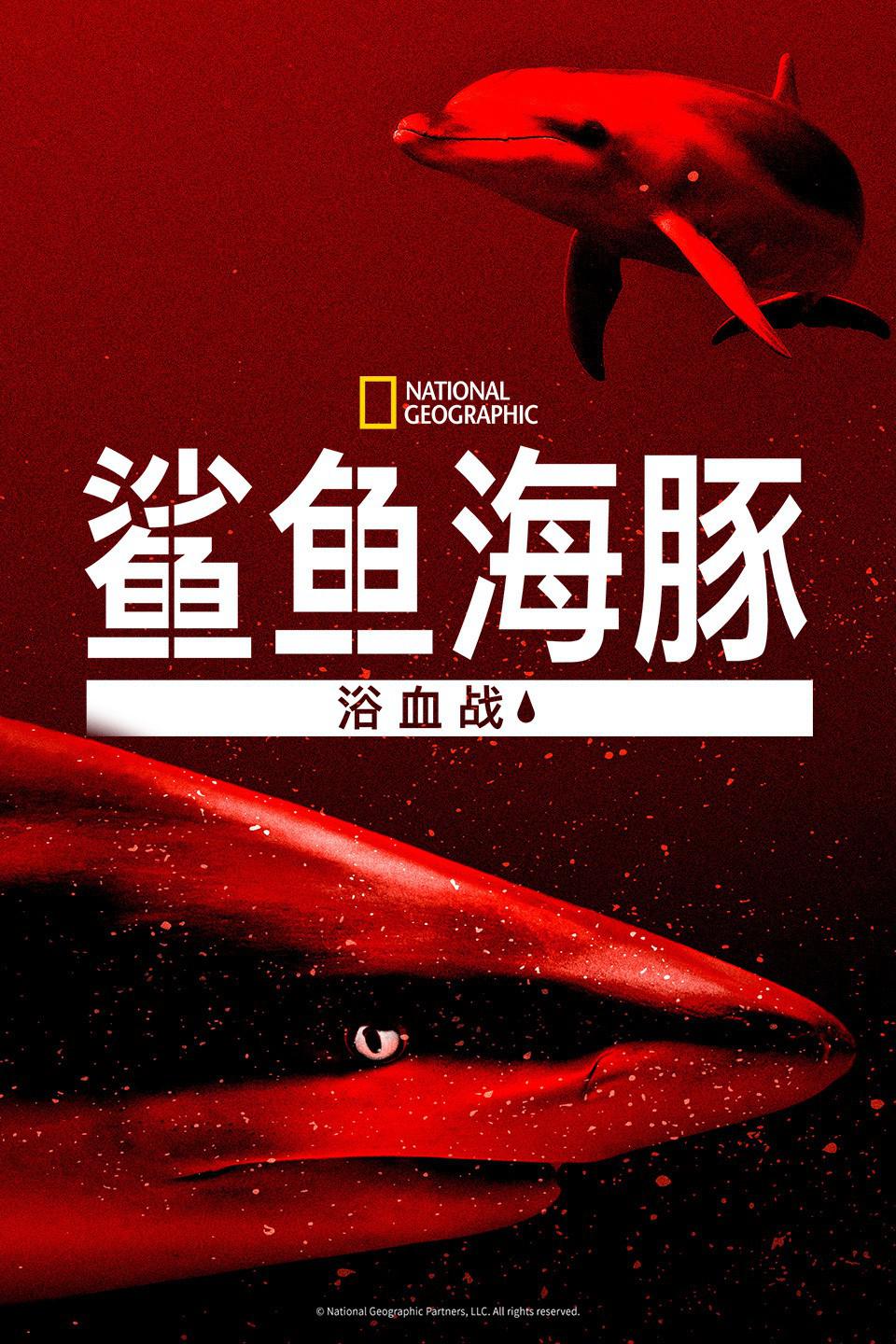 㺣ԡѪս.Sharks.vs.Dolphins:Blood.Battle.1080P.ٷ (2020)
