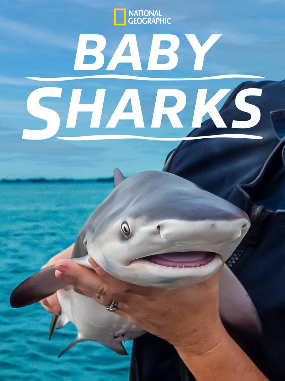 㱦ɳ.Baby.Sharks.1080P.Ӣ (2022)