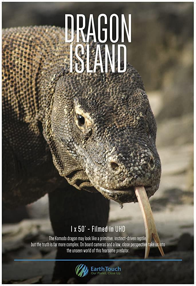 浺 Dragon Island (2016)