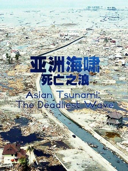 ޺Х֮ Asian Tsunami: The Deadliest Wave (2014)