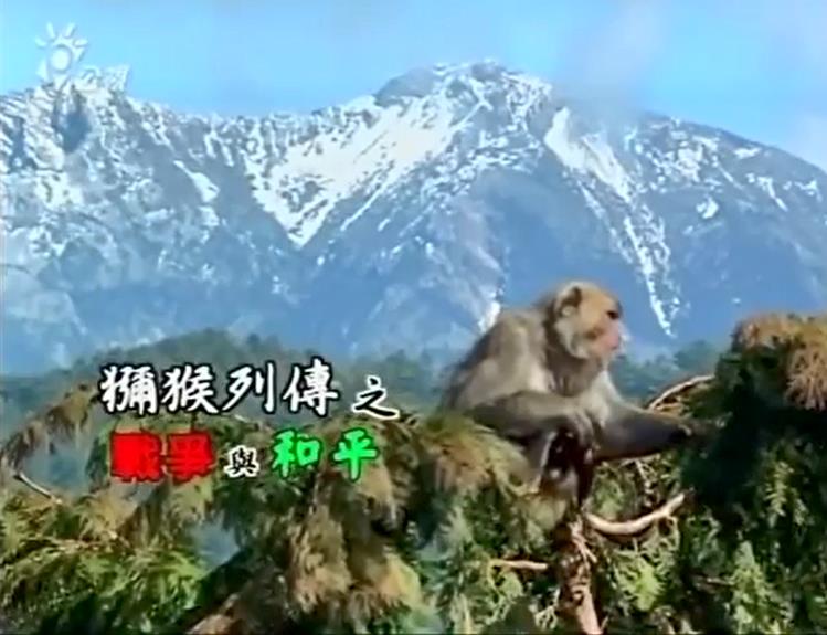 ⨺д2004
