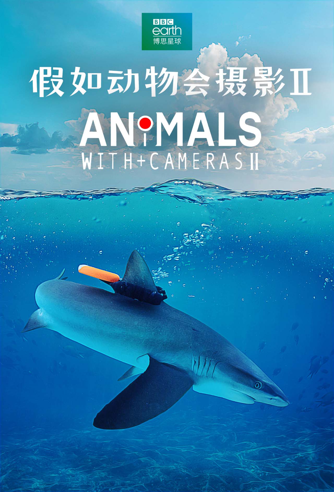 綯Ӱ.II.Animals.with.Cameras.II.ȫ2.1080P (2022)