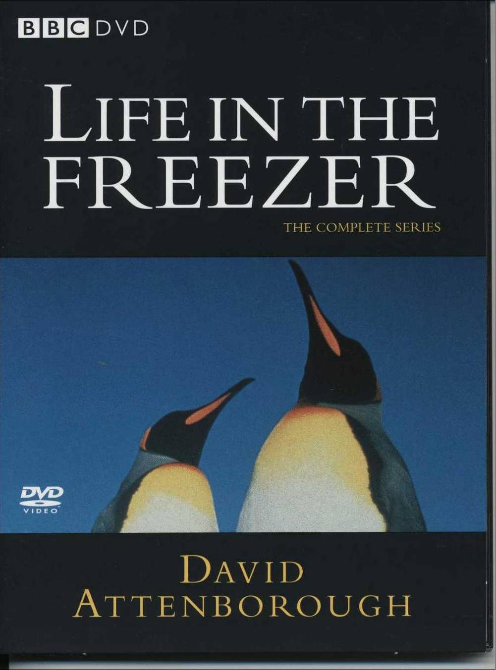 ѩͯ.Life.In.The.Freezer.DVDRip. (1993)
