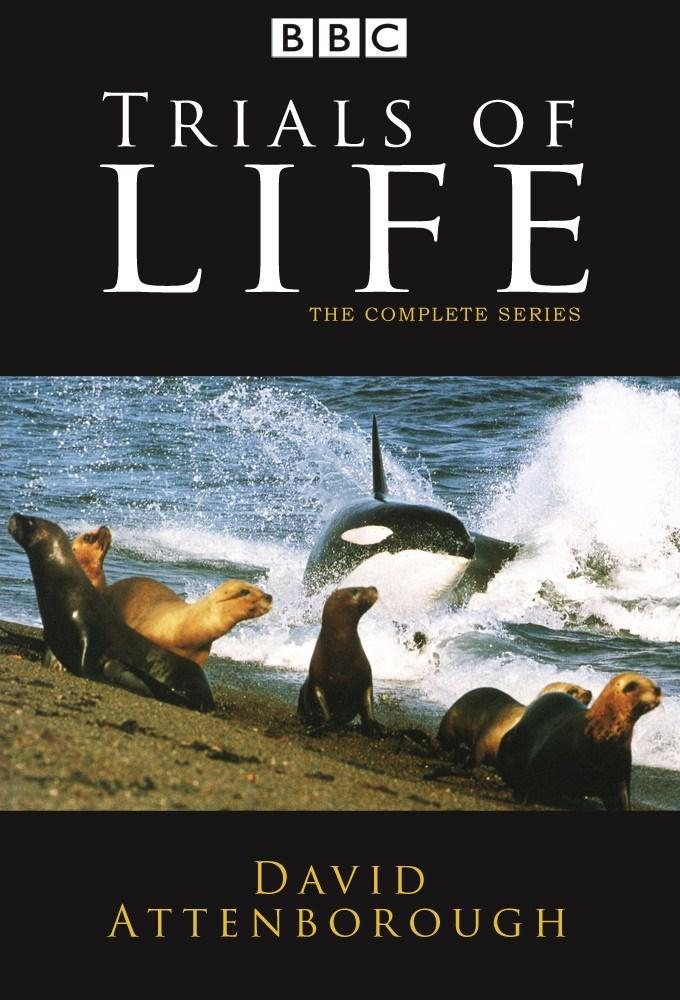 ֮Դ.The.Trials.of.Life.ȫ13.1080P.ӢĻ (1990)