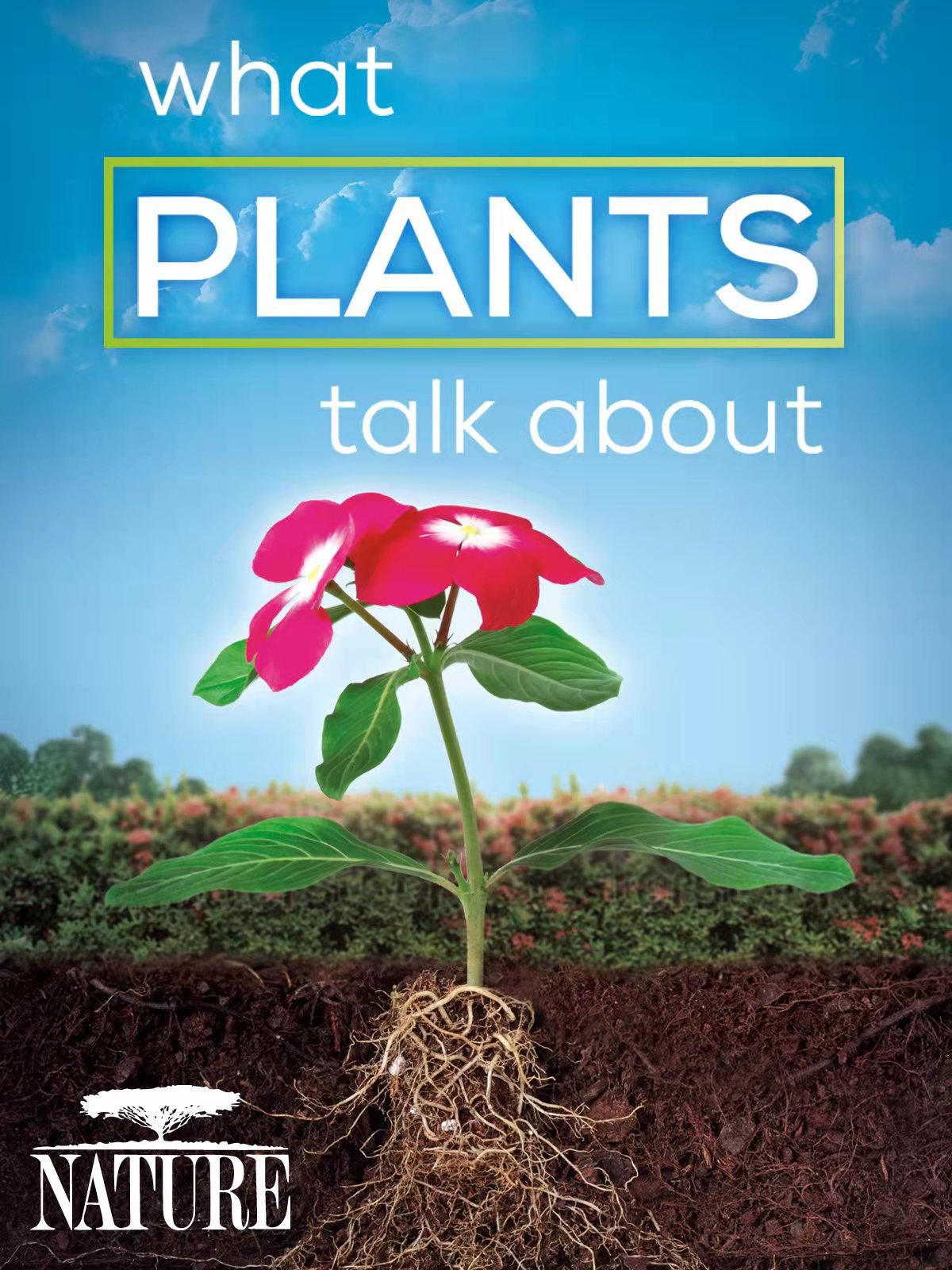 ȻֲĶԻ.Nature:What.Plants.Talk.About.720P.ӢĻ (2013)