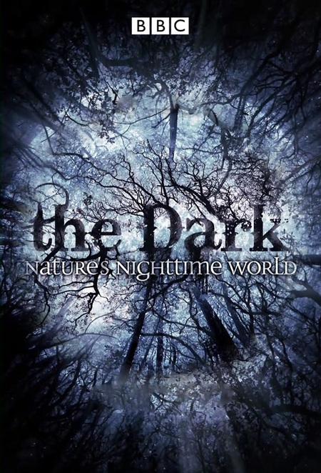 ڰеȻ.+Ӣ.1080P.The.Dark:Nature's.Nighttime.World (2012)
