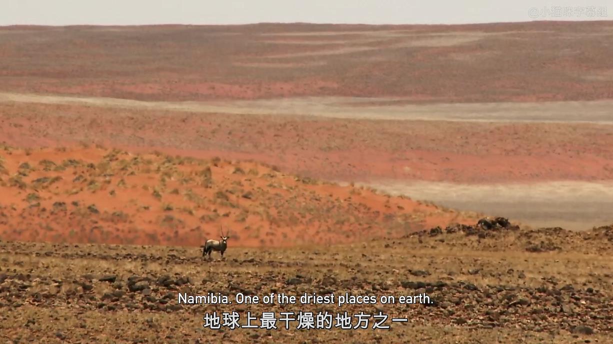 ױǣͶ.ӢĻ.1080P.Namibia,Sanctuary.of.Giants (2016)