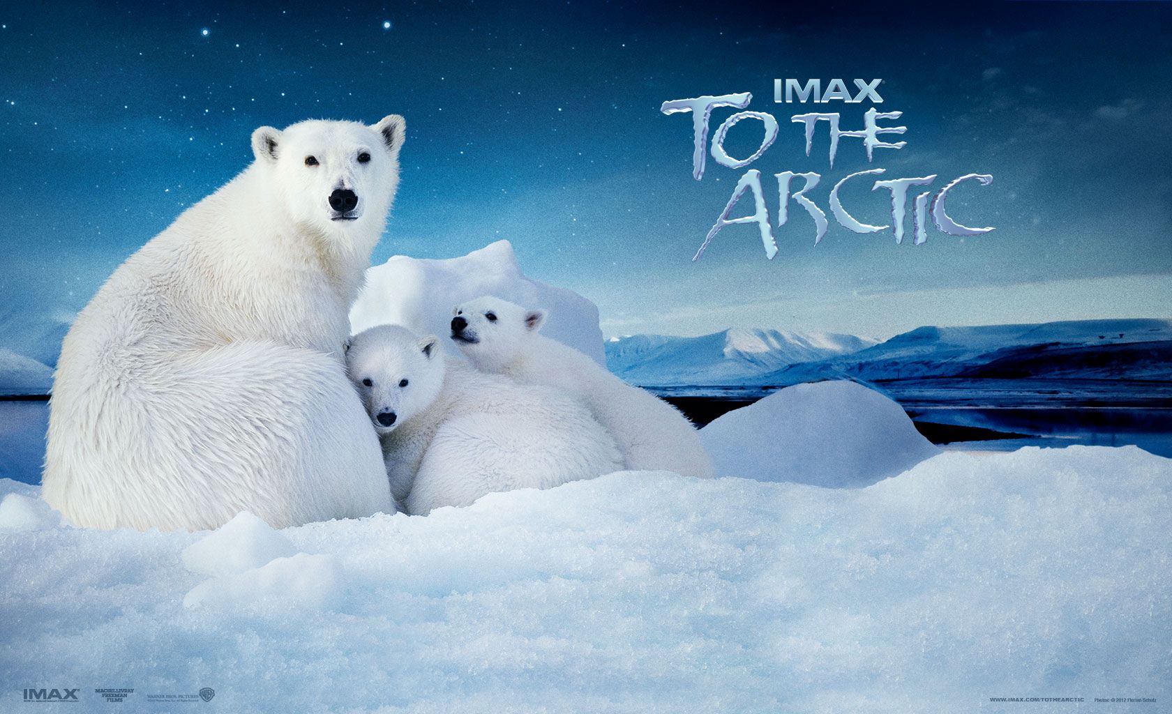 /.ӢĻ.1080P.To.the.Arctic.3D (2012)