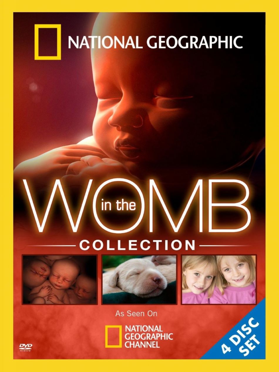 ӹռ.ϼ.720P..In.the.Womb (2005)