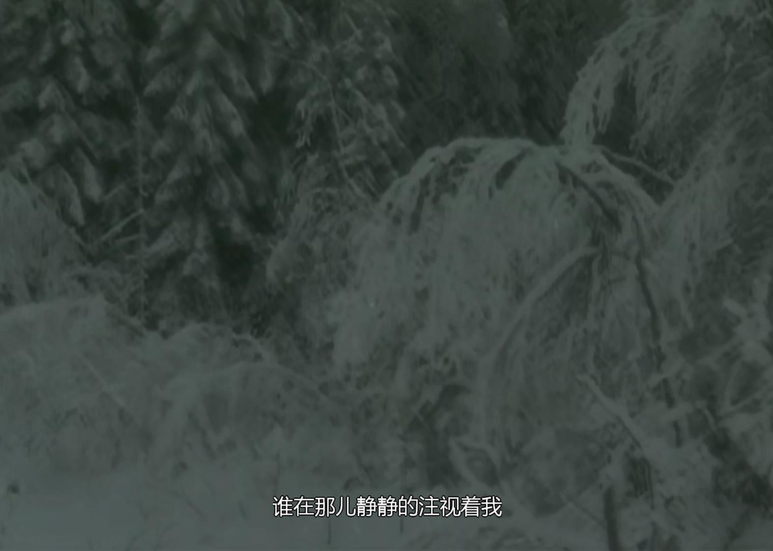 ó..480P.ݧ֧ԧڧ񡣧էԧ (2001)