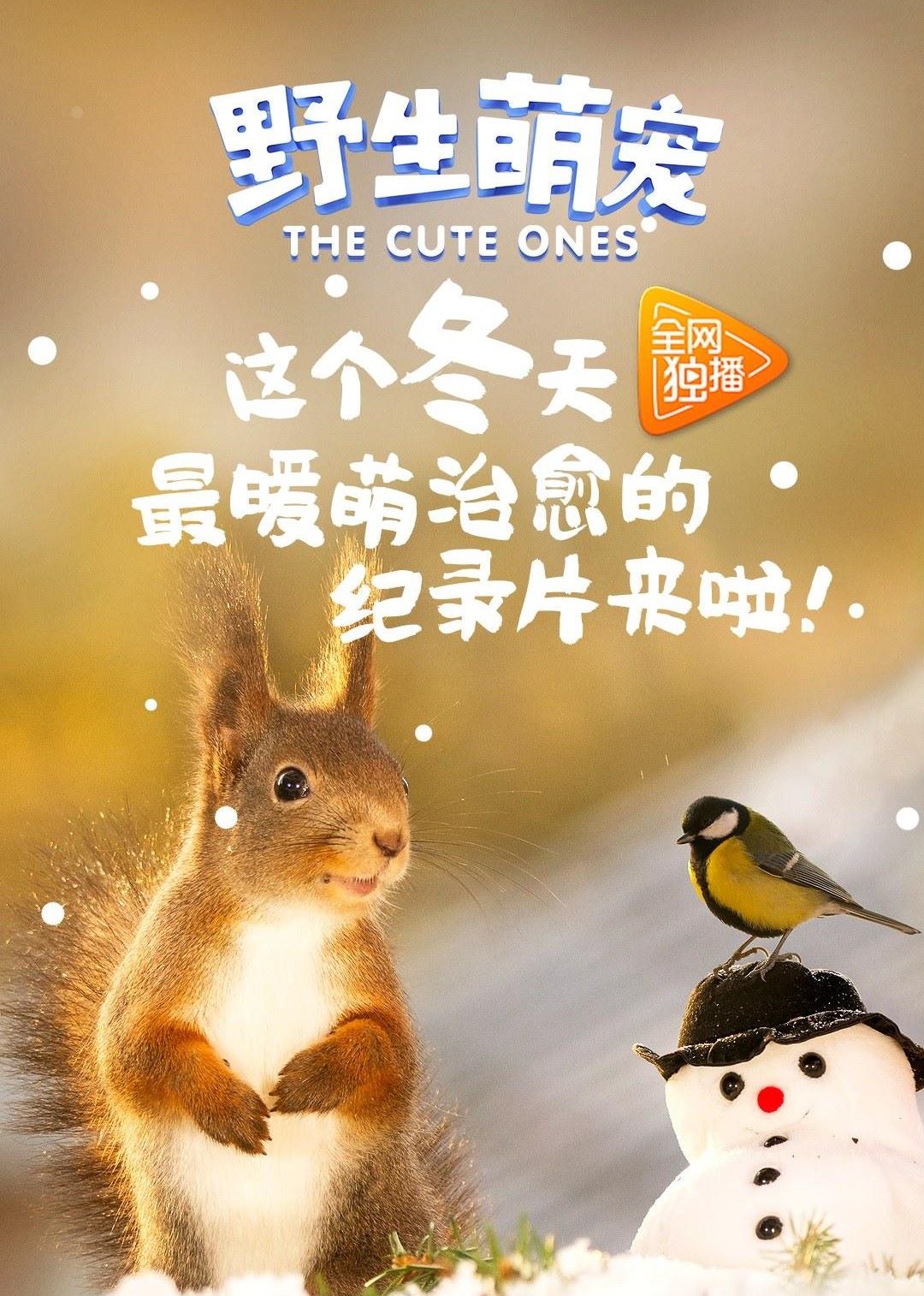 Ұȳ.ȫ26.Ӣ.1080P.The.Cute.Ones (2019)