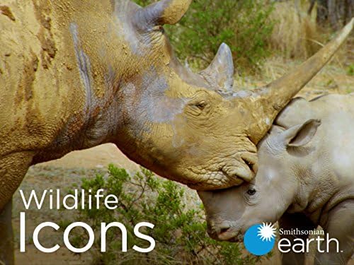 ҰԱ־/ҰФ.ȫ8.ӢĻ.1080P.Wildlife.Icons (2015)