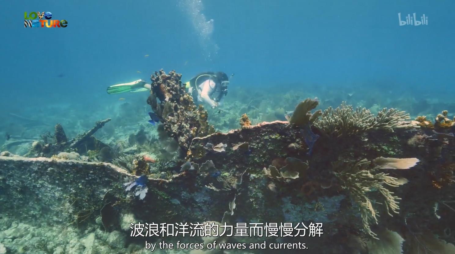 㽸.ȫ5.ӢĻ.1080P.Reef.Wrecks (2016)