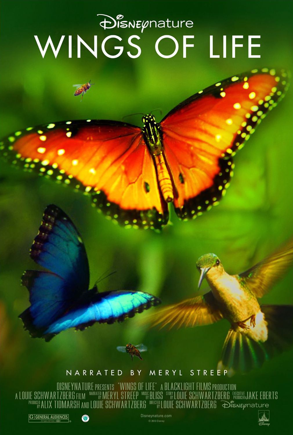 ֮.ӢĻ.1080P.Wings.of.Life (2013)