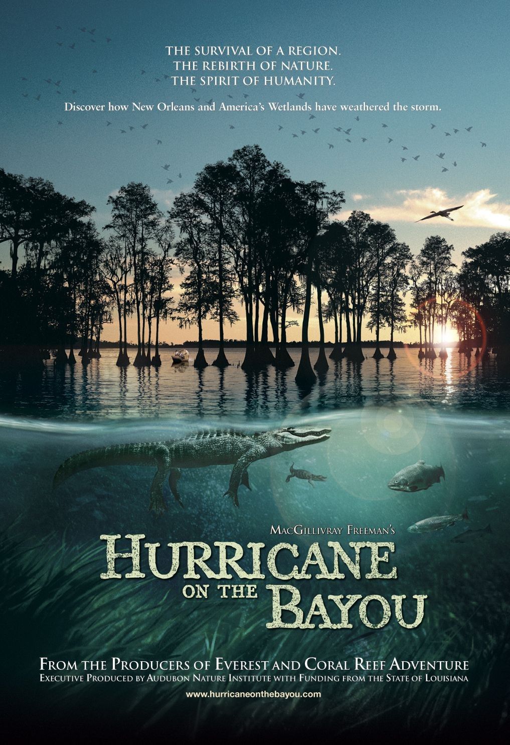 쫷..1080P.Hurricane.on.the.Bayou (2006)