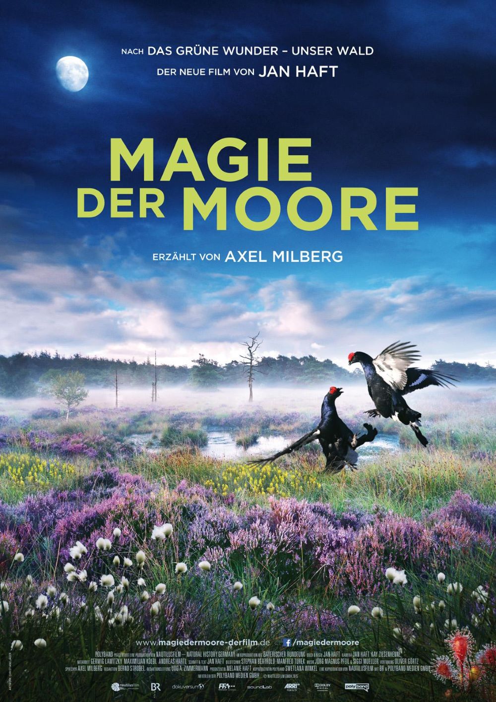 ػҰ.ӹ.Ч..1080P.Magie.der.Moore (2015)