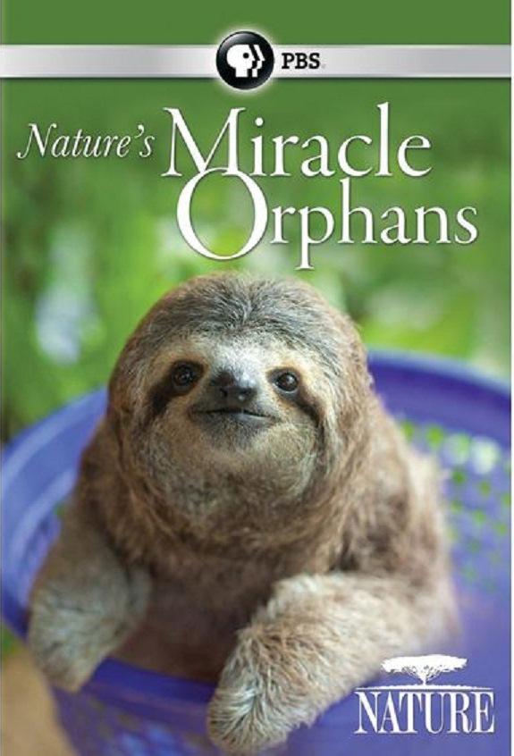 ˲ĶŹ.ȫ4.ӢĻ.720P.nature's.miracle.orphans (2015)
