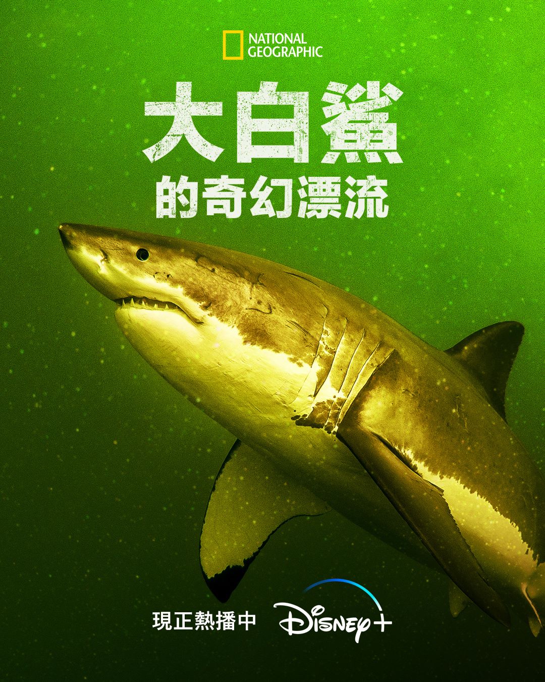 Ư..1080P.Return.of.the.White.Shark (2023)