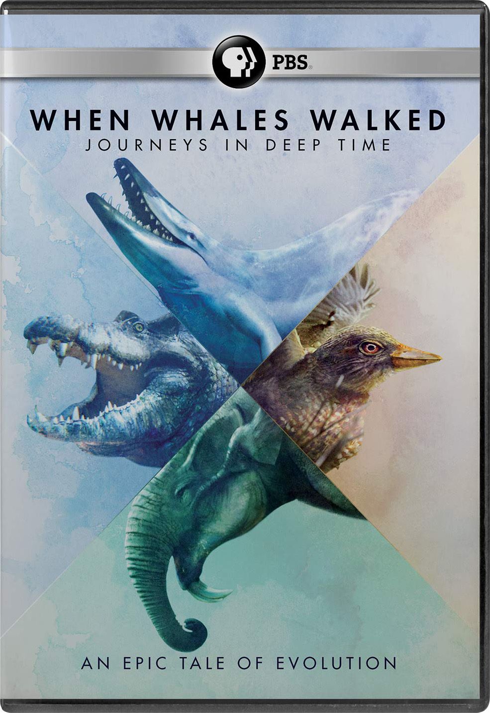 ߵʱʱ֮ When Whales Walked: Journeys in Deep Time (2019)